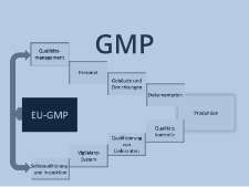Zu GMP