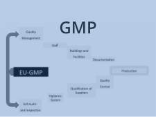 Zu GMP Zu GMP