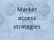 Zu Markteinührungsstrategien Zu Markteinührungsstrategien